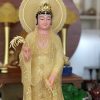 tuong-quan-am-bo-tat-dung-thach-anh-hao-quang-qabt-092-9