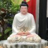 tuong-thich-ca-trang-ao-hoa-ngoi-be-da-1