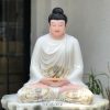tuong-thich-ca-trang-ao-hoa-ngoi-be-da-4