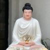 tuong-thich-ca-trang-ao-hoa-ngoi-be-da-5