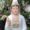 tuong-quan-am-bo-tat-gam-xanh-de-non-nuoc-3