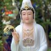 tuong-quan-am-bo-tat-gam-xanh-de-non-nuoc-4