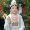 tuong-quan-am-bo-tat-gam-xanh-de-non-nuoc-5