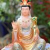 tuong-van-thu-pho-hien-ao-cam-hoa-van-11