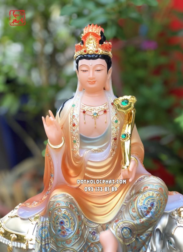 tuong-van-thu-pho-hien-ao-cam-hoa-van-11