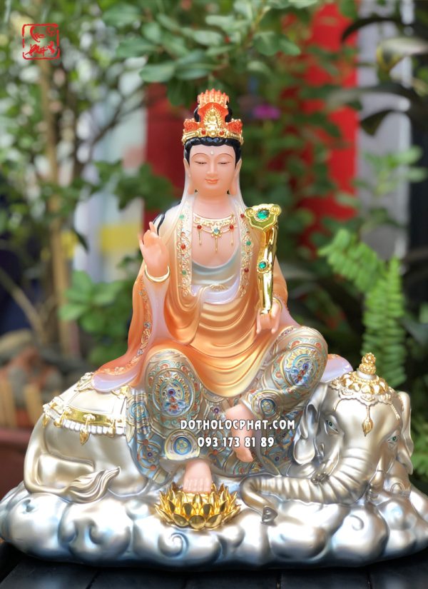 tuong-van-thu-pho-hien-ao-cam-hoa-van-7