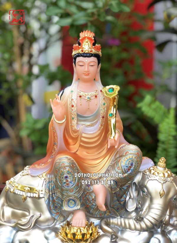 tuong-van-thu-pho-hien-ao-cam-hoa-van-8