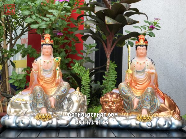 tuong-van-thu-pho-hien-vang-cam-hoa-van-1
