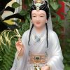 tuong-quan-am-bo-tat-dai-loan-ao-tim-3