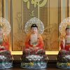 tuong-ta-ba-tam-thanh-gam-do-de-sen-hao-quang-1