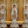 tuong-tay-phuong-tam-thanh-trang-dung-de-sen-vang-hao-quang-1