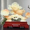 nhu-y-bap-cai-bach-tai-nhu-y-mau-cam-thach-6
