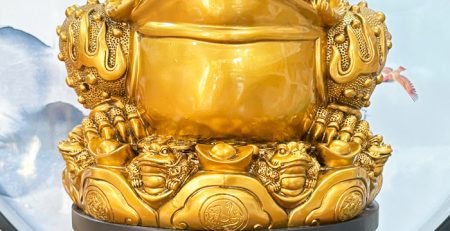 Cóc ngậm tiền màu vàng đồng đế gỗ
